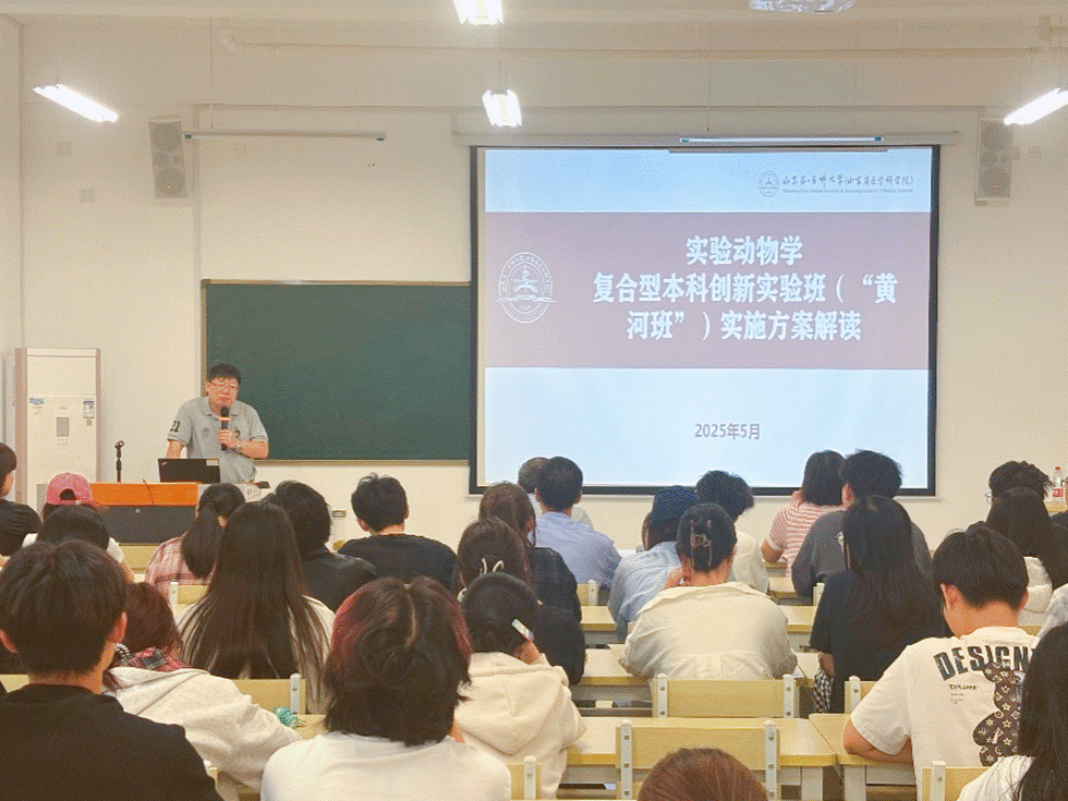 6ae5b41b234f2c95da3aa4a54df32327